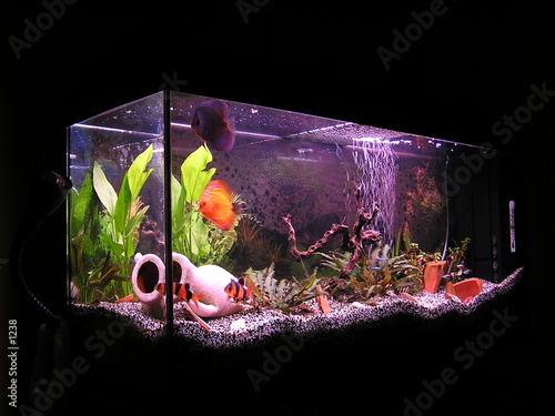 aquarium