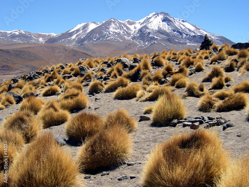 bolivie