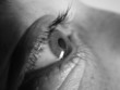 oeil féminin