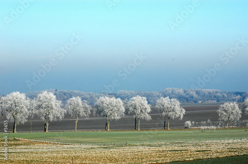 pom pom girls en hiver