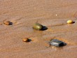 cailloux de plage