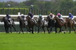 arrivée prix ganay 2005