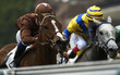 horse racing