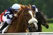 galop150502005