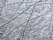 hiver