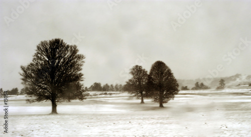 tempête sur l'aubrac - avril 2005 tempête sur l'aubrac - avril 2005