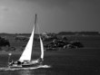 voilier dans le vent
