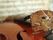 violon
