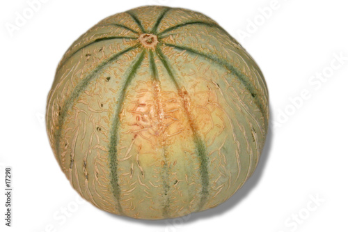 melon mur