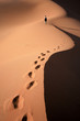 Pas du desert