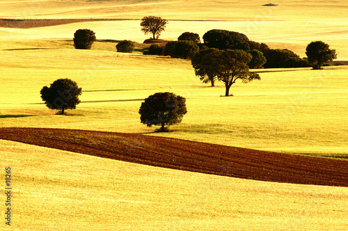 campagne