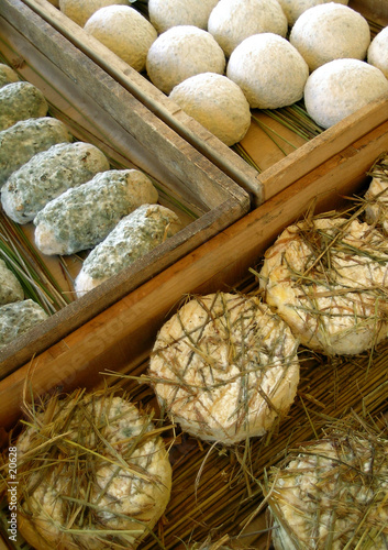 fromages