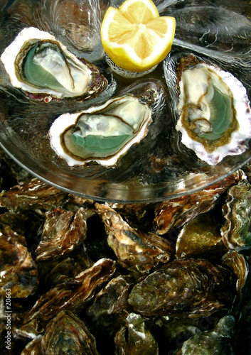 huîtres