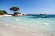 tamariccio