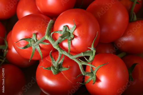 Photo: tomates grappes tomates grappes