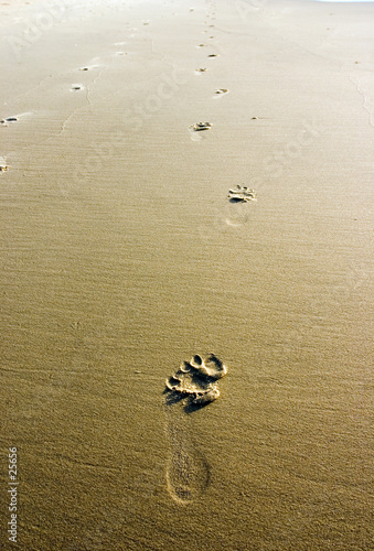 footprints in sand