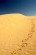 footsteps in the desert footsteps in the desert