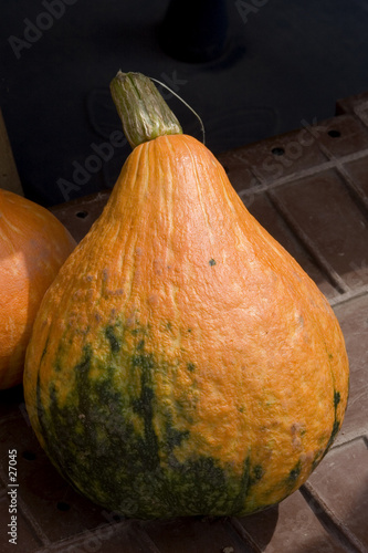 courges 01