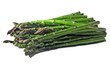 Illustration: asparagus asparagus
