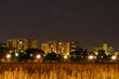 banlieue