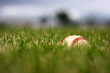 baseball - game over