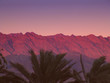 desert du sinai
