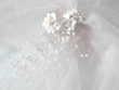 wedding veil