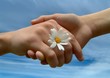 Foto: friends friends