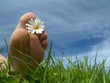summertime