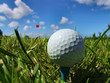 a perfect day for golf