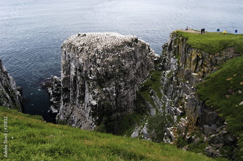 bird rock 2 bird rock 2