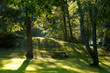 picnic table in the middle of woods