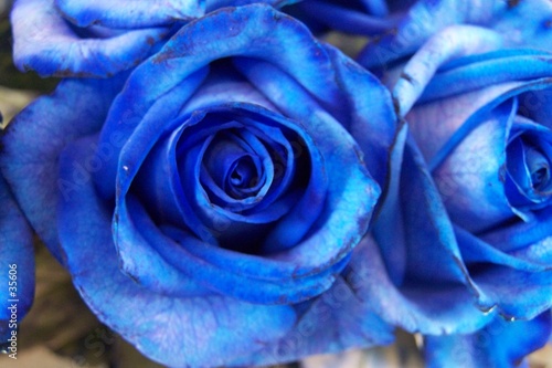 blue