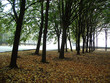 buchenwald - germany