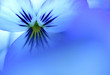 kind of blue