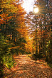 autumns