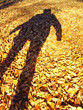 autumns