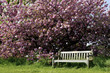single empty park bench