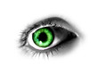 abstract green eye