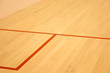 Illustration: squash court 2 squash court 2