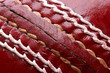 close up shot of a red cricket ball