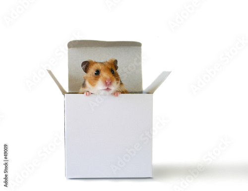 insire the box 3