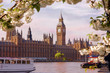 big ben on the thames