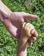 holding hands