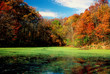 autumn colors