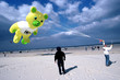 cerf volants sur la plage de berck cerf volants sur la plage de berck