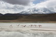 bolivian panorama