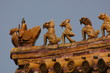 detail de la ville interdite