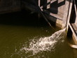jet d'eau