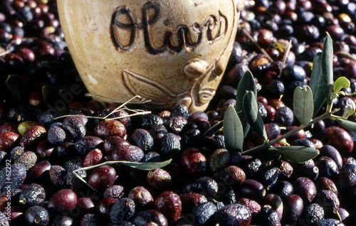 olives olives